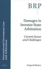 Damages in Investor-State Arbitration: Current Issues and Challenges