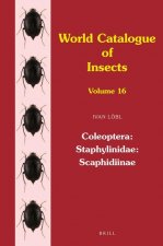 Coleoptera: Staphylinidae: Scaphidiinae