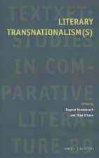 Literary Transnationalism(s)