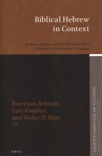 Biblical Hebrew in Context: Essays in Semitics and Old Testament Texts in Honour of Professor Jan P. Lettinga