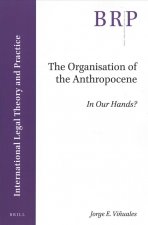 The Organisation of the Anthropocene: In Our Hands?