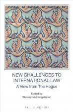New Challenges to International Law: A View from the Hague