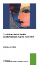 The Private-Public Law Divide in International Dispute Resolution