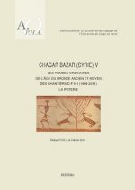Chagar Bazar (Syrie) V: Les Tombes Ordinaires de l'Age Du Bronze Ancien Et Moyen Des Chantiers D-F-H-I (1999-2011): La Poterie