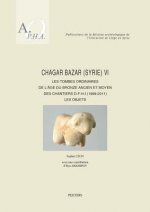 Chagar Bazar (Syrie) VI: Les Tombes Ordinaires de l'Age Du Bronze Ancien Et Moyen Des Chantiers D-F-H-I (1999-2011): Les Objets