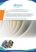 Investment for Health and Well-Being: A Review of the Social Return on Investment from Public Health Policies to Support Implementing the Sustainable