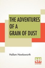 Adventures Of A Grain Of Dust