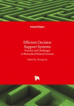 Efficient Decision Support Systems