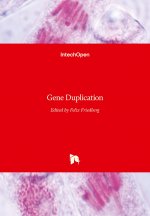 Gene Duplication