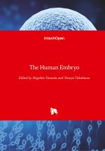 Human Embryo