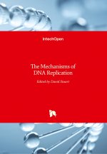 Mechanisms of DNA Replication