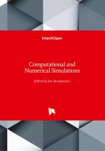 Computational and Numerical Simulations