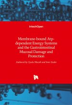 Membrane-bound Atp-dependent Energy Systems and the Gastrointestinal Mucosal Damage and Protection