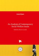 Analysis of Contemporary Social Welfare Issues