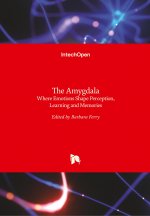 Amygdala