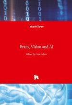 Brain, Vision and AI