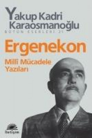 Ergenekon Milli Mücadele Yazilari