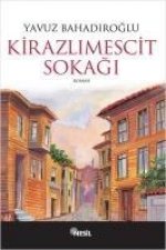 Kirazlimescit Sokagi