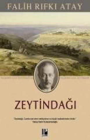 Zeytindagi