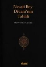 Necati Bey Divaninin Tahlili