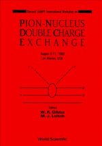 Pion-nucleus Double Charge Exchange - 2nd Lampf Workshop