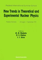 New Trends in Theoretical and Experimental Nuclear Physics - Proceedings of the Predeal International Summer School