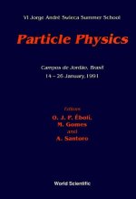 Particle Physics - VI Jorge Andre Swieca Summer School