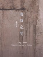 Ying Tianqi: What Remains in Ruins