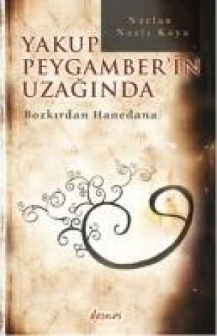 Yakup Peygamberin Uzaginda