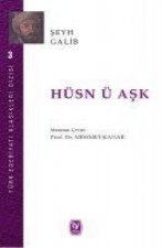 Hüsn ü Ask