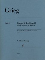 Violin Sonata G major op. 13