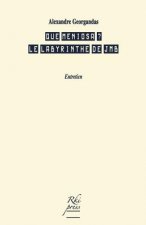 Que meniosa ?: Le labyrinthe de JMB