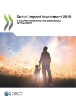 Social impact investment 2019