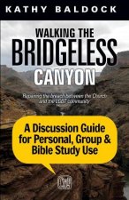 Walking the Bridgeless Canyon