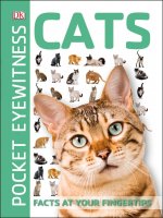 Cats