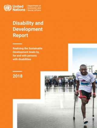 Disability and development report