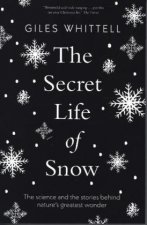 Secret Life of Snow