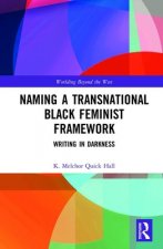 Naming a Transnational Black Feminist Framework