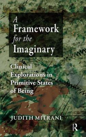 Framework for the Imaginary