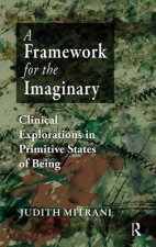 Framework for the Imaginary