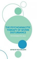 Psychoanalytic Therapy of Severe Disturbance