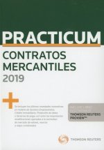 PRÁCTICUM SOCIEDADES MERCANTILES 2019 (DÚO)