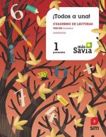 GLOBALIZADO 3-1ºPRIMARIA. PAUTA. MÁS SAVIA. ANDALUCÍA 2019