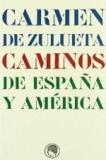 CAMINOS DE ESPAÑA Y AMRICA