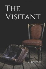 The Visitant