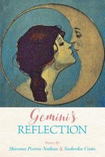 Gemini's Reflection