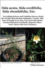 Sida acuta, Sida cordifolia, Sida rhombifolia, Etc.: Everything Science and Tradition Knows about the World's Best Herbal Antibiotics, Used by Million