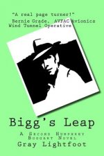 Bigg's Leap: A Second Humphrey Boggart Novel