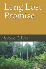 Long Lost Promise: A Scott Wallace Mystery