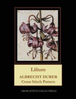 Lilium